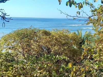 Oceanfront Land for Sale in Cambutal Panama *Recently Sold* - image 8