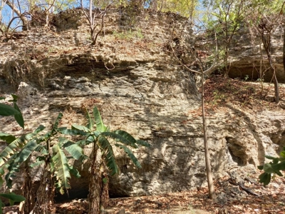 Oceanfront Land for Sale in Cambutal Panama *Recently Sold* - image 4