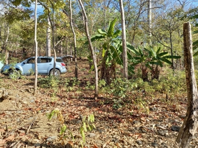 Oceanfront Land for Sale in Cambutal Panama *Recently Sold* - image 7