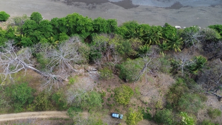 Oceanfront Land for Sale in Cambutal Panama *Recently Sold* - image 12