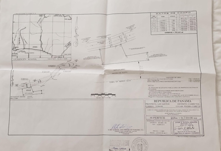 Oceanfront Land for Sale in Cambutal Panama *Recently Sold* - image 2