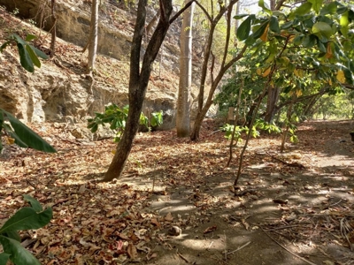 Oceanfront Land for Sale in Cambutal Panama *Recently Sold* - image 3