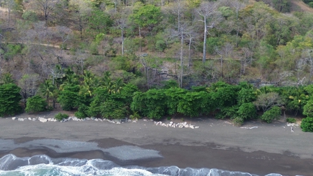 Oceanfront Land for Sale in Cambutal Panama *Recently Sold* - image 15