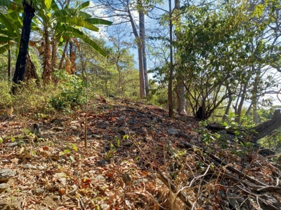 Oceanfront Land for Sale in Cambutal Panama *Recently Sold* - image 6