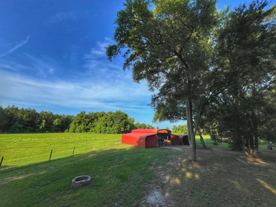14 Acre Horse Property In Trenton, Fl!! - image 49