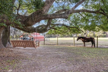 14 Acre Horse Property In Trenton, Fl!! - image 25