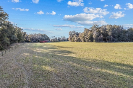 14 Acre Horse Property In Trenton, Fl!! - image 43