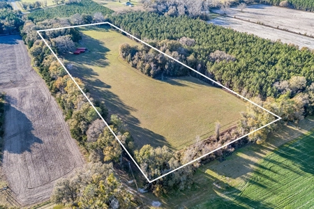 14 Acre Horse Property In Trenton, Fl!! - image 46