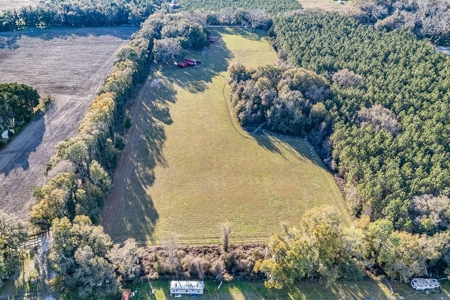 14 Acre Horse Property In Trenton, Fl!! - image 47