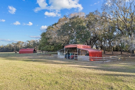 14 Acre Horse Property In Trenton, Fl!! - image 41