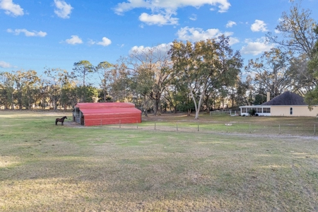 14 Acre Horse Property In Trenton, Fl!! - image 40