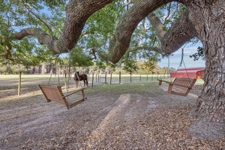 14 Acre Horse Property In Trenton, Fl!! - image 24
