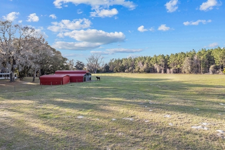 14 Acre Horse Property In Trenton, Fl!! - image 39