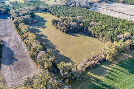 14 Acre Horse Property In Trenton, Fl!! - image 45