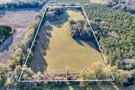 14 Acre Horse Property In Trenton, Fl!! - image 44