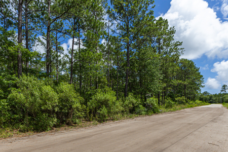 Commercial Acreage For Sale at St. James/Southport - image 7