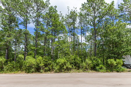 Commercial Acreage For Sale at St. James/Southport - image 6