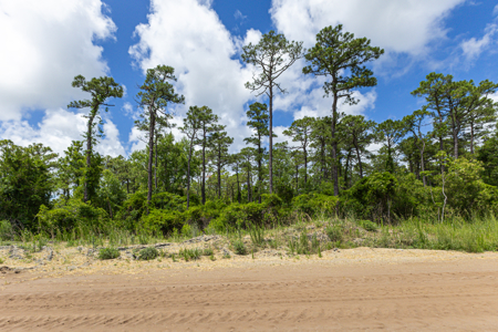 Commercial Acreage For Sale at St. James/Southport - image 9