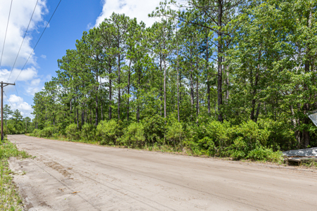 Commercial Acreage For Sale at St. James/Southport - image 5