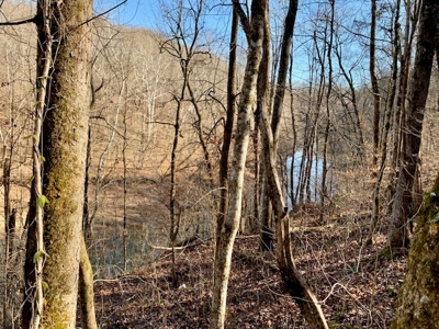 Escape to nature on this stunning 5.02-acre property! - image 38