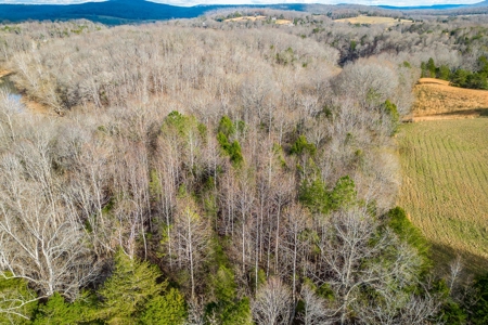 Escape to nature on this stunning 5.02-acre property! - image 2