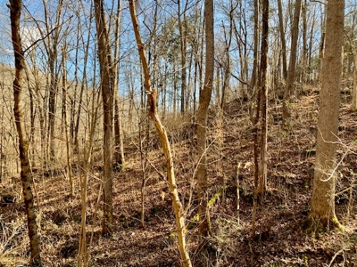 Escape to nature on this stunning 5.02-acre property! - image 48