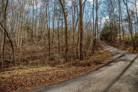 Escape to nature on this stunning 5.02-acre property! - image 18