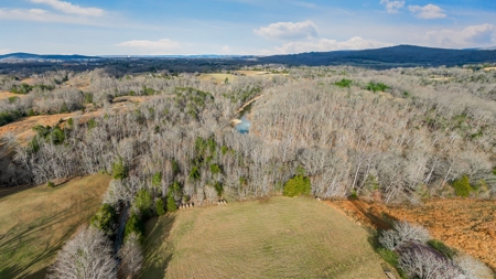 Escape to nature on this stunning 5.02-acre property! - image 4