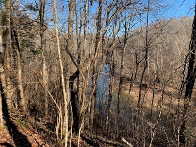 Escape to nature on this stunning 5.02-acre property! - image 25