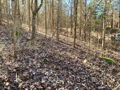 Escape to nature on this stunning 5.02-acre property! - image 23