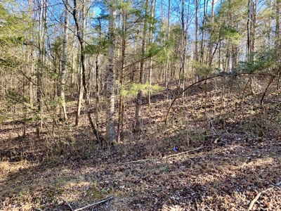 Escape to nature on this stunning 5.02-acre property! - image 46