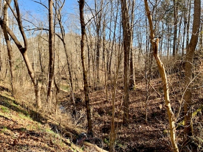 Escape to nature on this stunning 5.02-acre property! - image 49