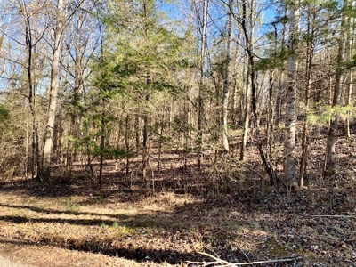 Escape to nature on this stunning 5.02-acre property! - image 45