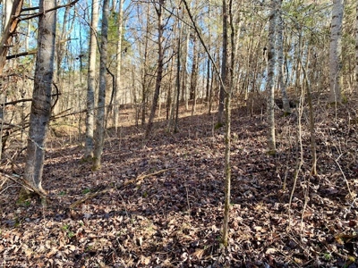 Escape to nature on this stunning 5.02-acre property! - image 21