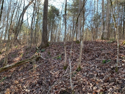 Escape to nature on this stunning 5.02-acre property! - image 33