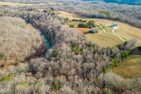 Escape to nature on this stunning 5.02-acre property! - image 13