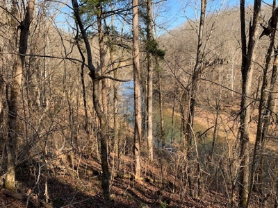 Escape to nature on this stunning 5.02-acre property! - image 31