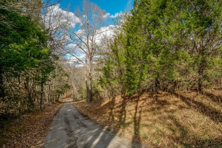 Escape to nature on this stunning 5.02-acre property! - image 20