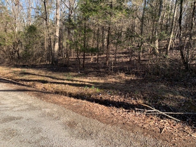 Escape to nature on this stunning 5.02-acre property! - image 47