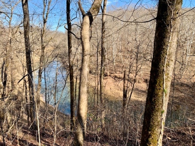 Escape to nature on this stunning 5.02-acre property! - image 37