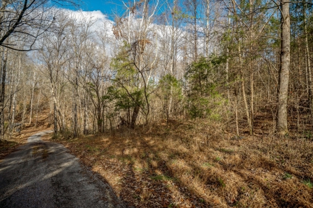 Escape to nature on this stunning 5.02-acre property! - image 19