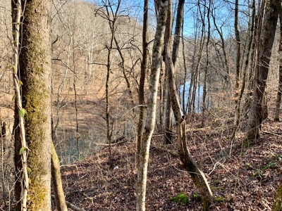 Escape to nature on this stunning 5.02-acre property! - image 35