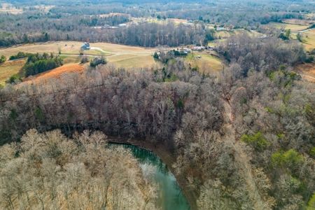 Escape to nature on this stunning 5.02-acre property! - image 7