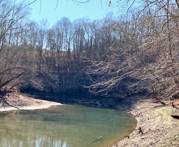 Escape to nature on this stunning 5.02-acre property! - image 1