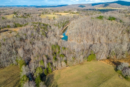 Escape to nature on this stunning 5.02-acre property! - image 17