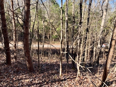 Escape to nature on this stunning 5.02-acre property! - image 44