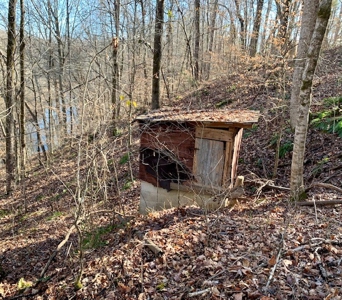 Escape to nature on this stunning 5.02-acre property! - image 26