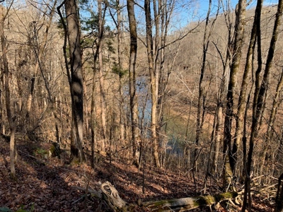 Escape to nature on this stunning 5.02-acre property! - image 29