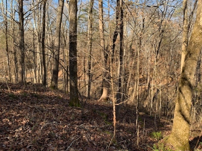 Escape to nature on this stunning 5.02-acre property! - image 30