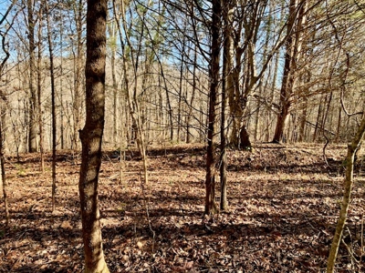 Escape to nature on this stunning 5.02-acre property! - image 41